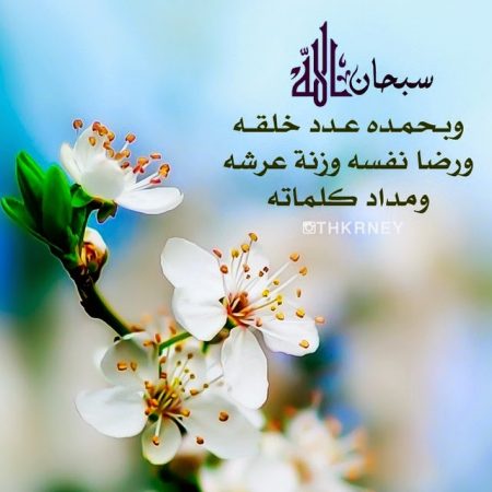 صور خلفيات ورمزيات تهنئة بالمولد النبوي 1438 (2)