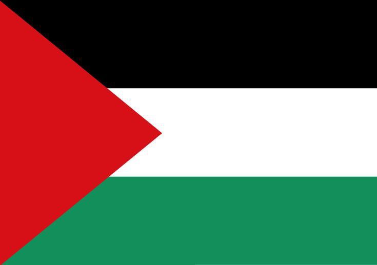 Palestine flag 1
