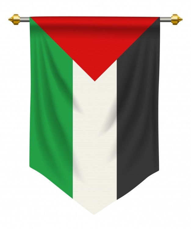 Palestine flag 2