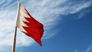 اشكال والوان صور علم البحرين (4)