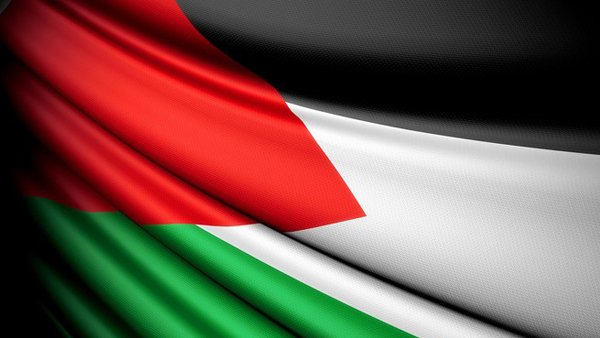 الوان علم فلسطين (1)