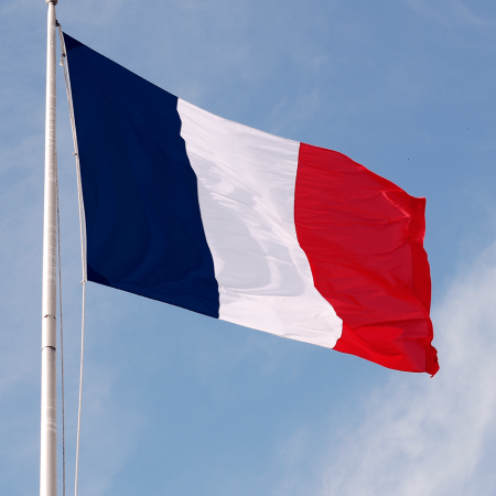 دولة فرنسا علم رمزيات وخلفيات (1)