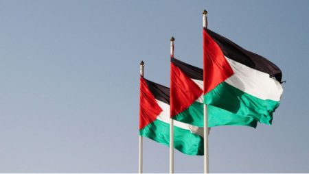 رفرفة علم فلسطين (2)