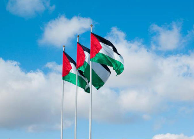 رفرفة علم فلسطين (4)