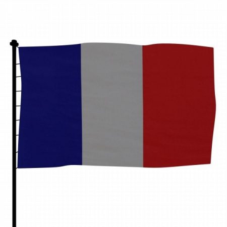 رمزيات علم فرنسا (1)