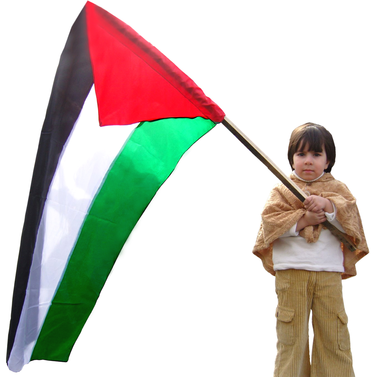 رمزيات علم فلسطين 2