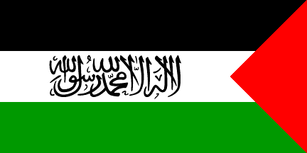 صور علم فلسطين (2)