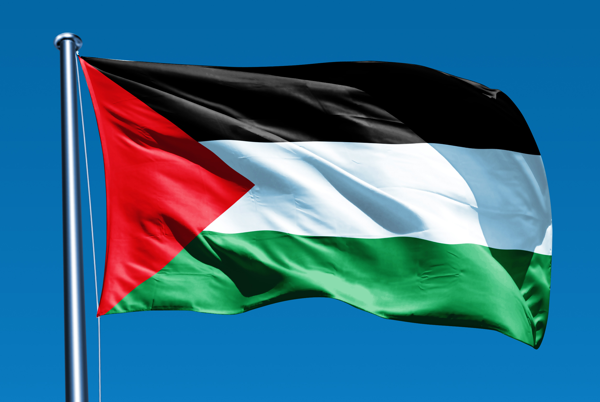 صور علم فلسطين (2)
