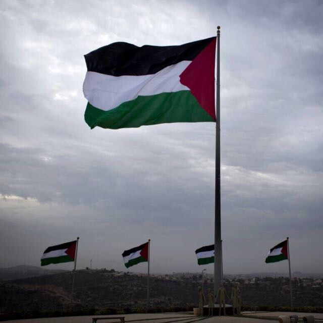 صور علم فلسطين رمزيات وخلفيات العلم الفلسطيني 1 1