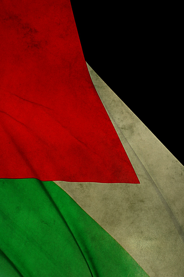 صور عن العلم الفلسطيني (1)