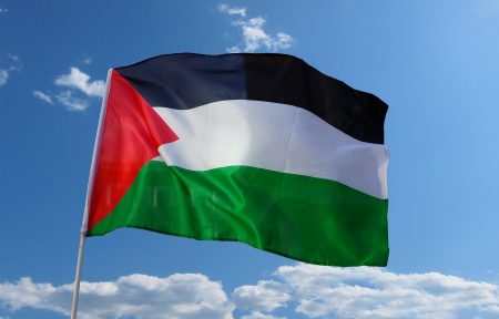 صور عن العلم الفلسطيني (2)