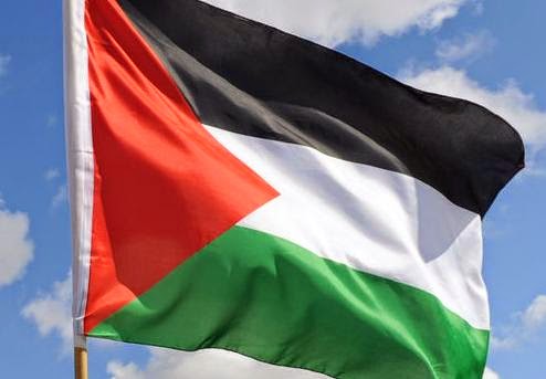 صور عن العلم الفلسطيني (4)