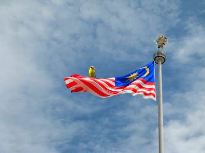 صور عن دولة ماليزيا وعلمها (1)
