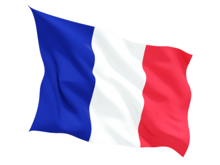 علم دولة فرنسا (3)