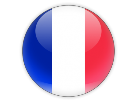 علم دولة فرنسا (4)