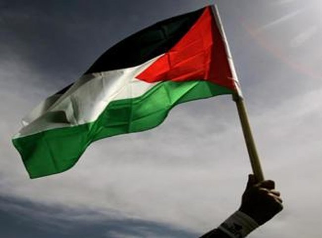 علم دولة فلسطين (2)