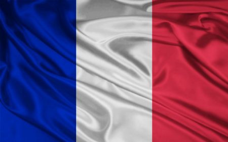 علم فرنسا (3)