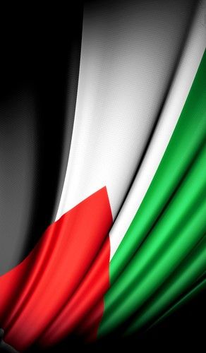 علم فلسطين 2