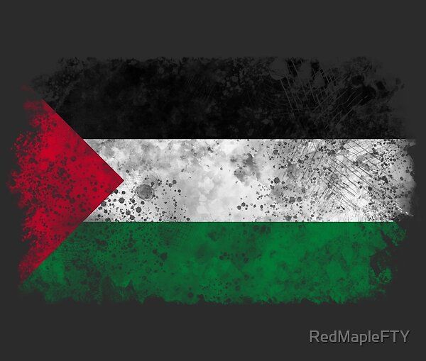 فلسطين علم 2