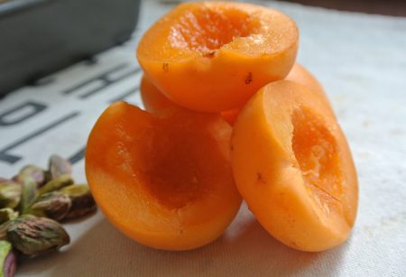 apricots photos (1)