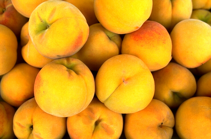 صور مشمش خلفيات ورمزيات فاكهة المشمش Apricots ميكساتك