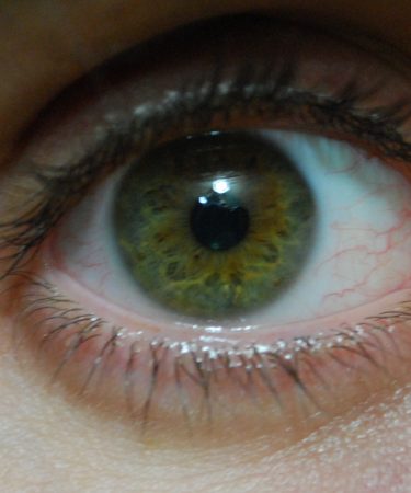 عين خضراء بالصور (3)