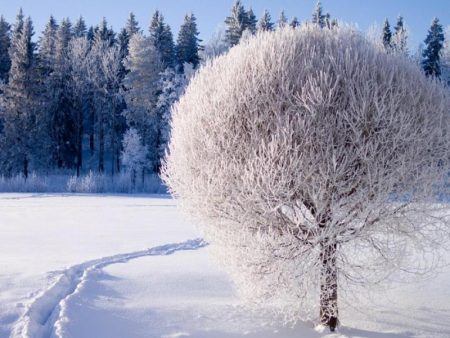صور عن الشتاء 2018 رمزيات وخلفيات شتاء HD (3)