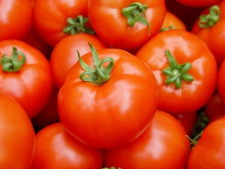 طماطم صور (1)