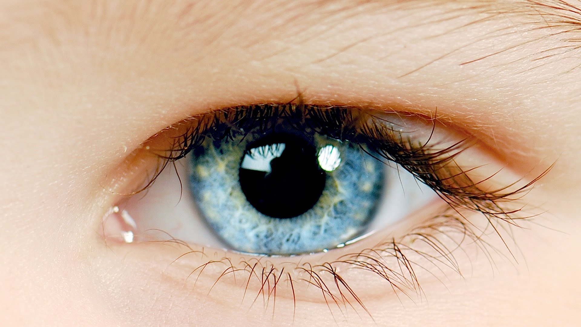 Включи глаза. Голубо карие глаза. Картинка глаза человека. Голубо карие глаза фото.