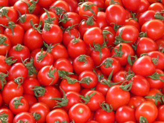 فوائد الطماطم لجسم الانسان ومقاومة الأمراض ميكساتك