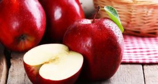 فوائد واضرار التفاح