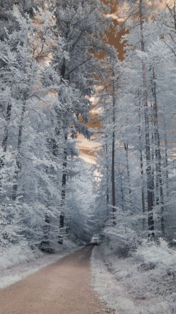 صور رمزيات عن الشتاء 2