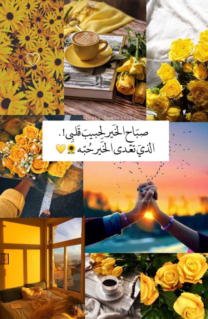 احدث صور صباحية للحبيب 2 1