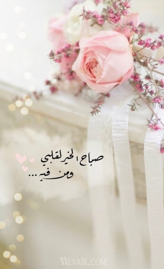 صور صباح لحبيبي 2