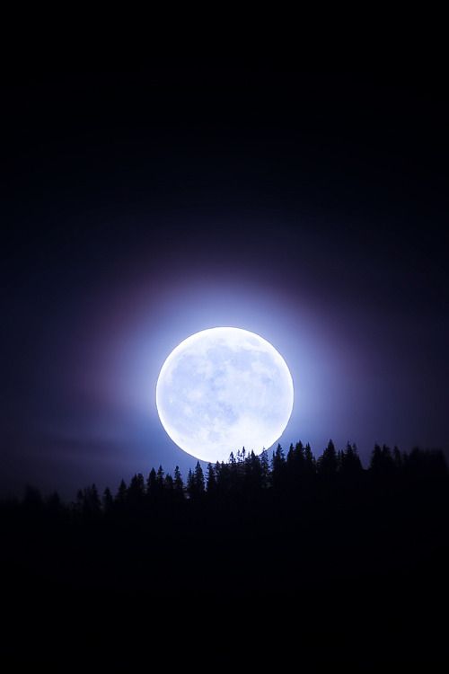 ضوء القمر 2